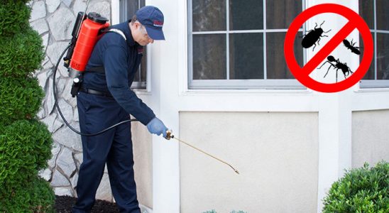 Odunpazarı Kene İlaçlama böcek ilaçlama ve haşere kontrolü — ilaclama-tr.com